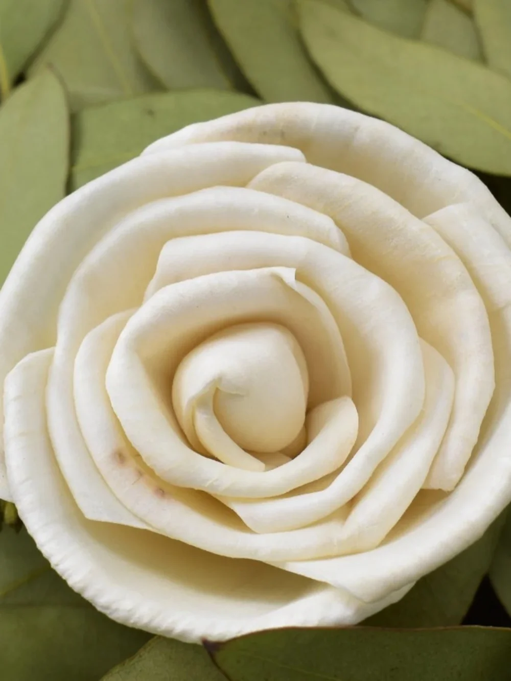 Roses Assorted Sizes Sola Wood Flowers - Set of 125